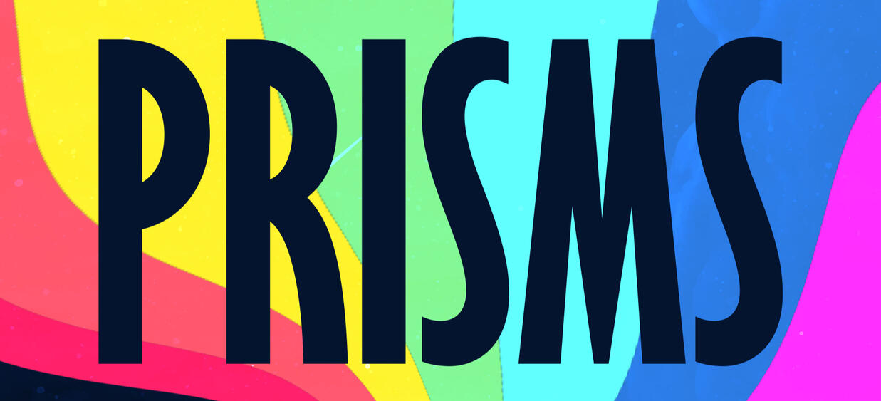 A cropped image from the book cover with just the title Prisms and the rainbow in the background